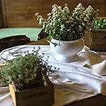 Al Segnavento - Foresteria Vakantieboerderij *