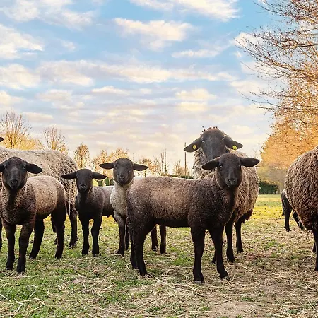 Farm stay Al Segnavento - Foresteria Chirignago-Zelarino