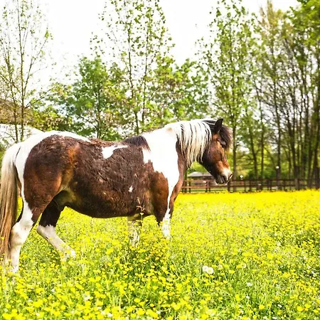 Al Segnavento - Foresteria Farm stay